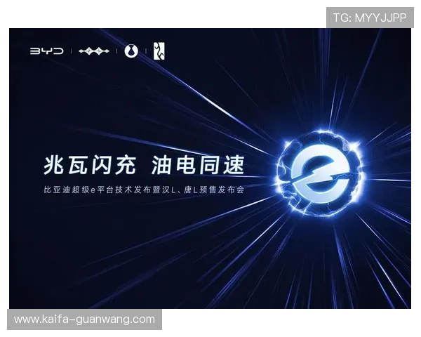 3. 凯发天生赢家的成功经验助你一触即发迎接人生的每一个机遇