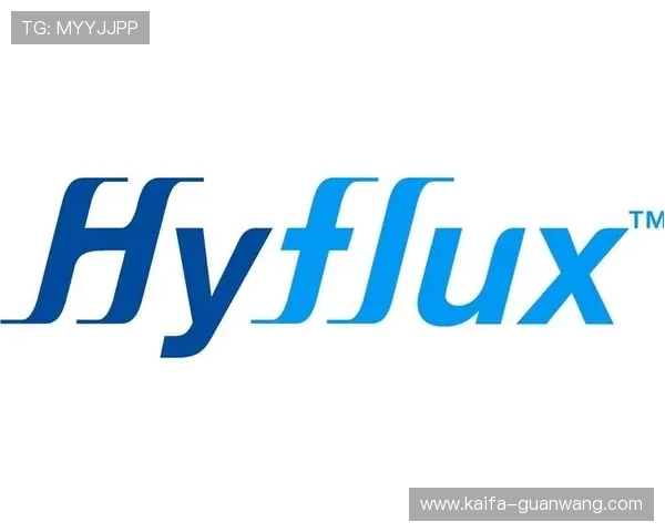 凯发集团有限公司官网：产品与服务介绍，满足多元化客户需求